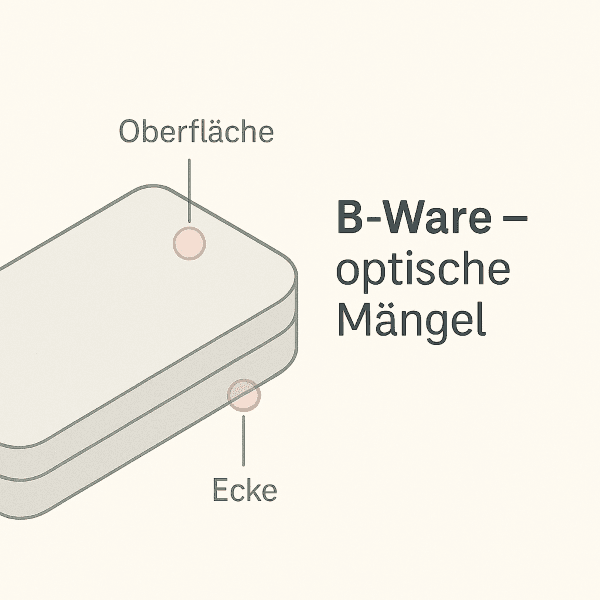 B-Ware Verschlussbox Karabiner 31 – Bild 2